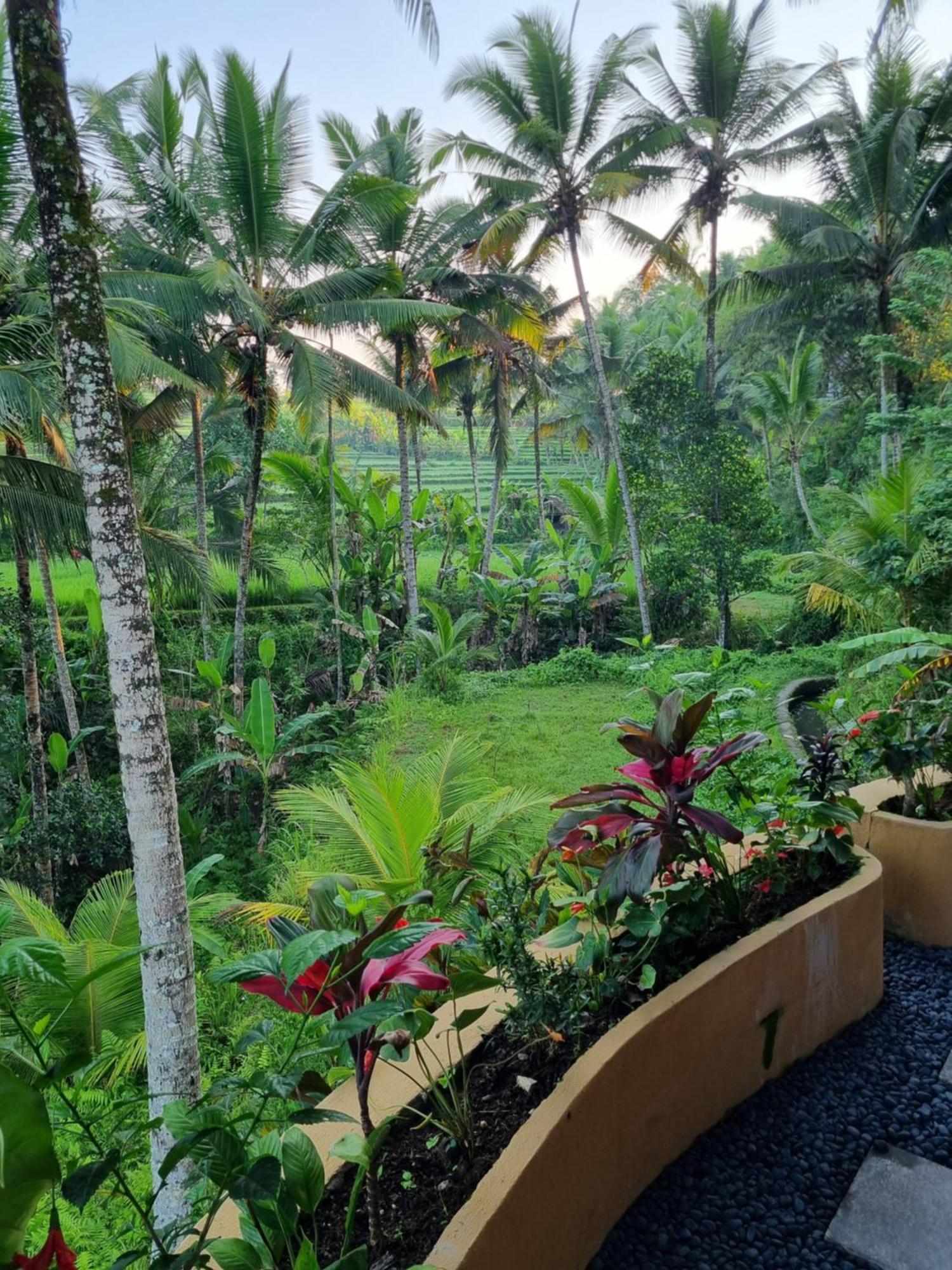 Puri Sebali Resort Ubud Exterior foto