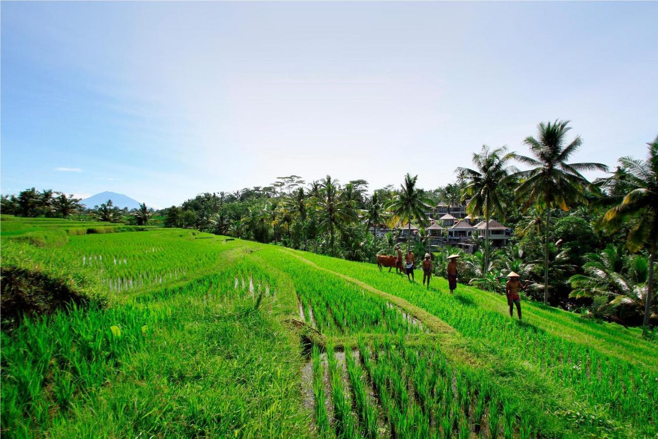 Puri Sebali Resort Ubud Exterior foto